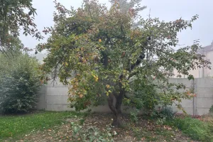 Podzim dorazil